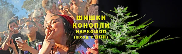 ГАЛЛЮЦИНОГЕННЫЕ ГРИБЫ Бронницы