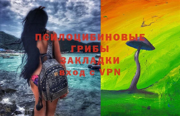 ГАЛЛЮЦИНОГЕННЫЕ ГРИБЫ Бронницы