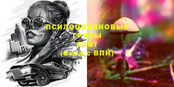 экстази Бородино