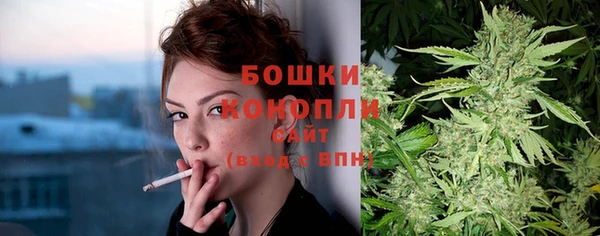 экстази Бородино