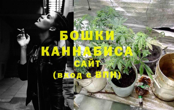 экстази Бородино