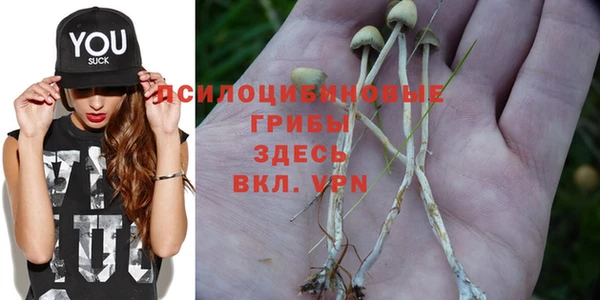 ГАЛЛЮЦИНОГЕННЫЕ ГРИБЫ Бронницы